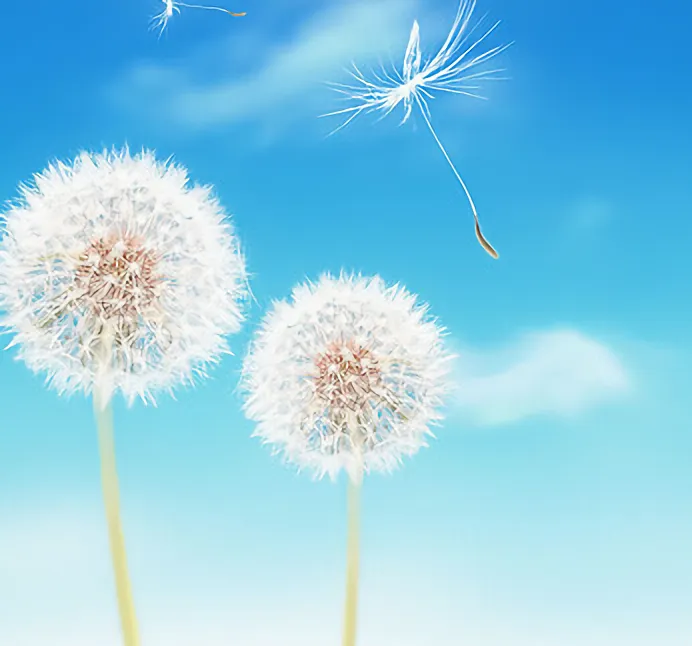 Deep Dive into the Zodiac: The Sagittarius You Never Knew - Sagittarius ...